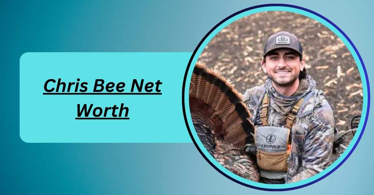 chris-bee-net-worth